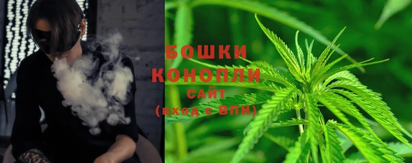 прущие грибы Кодинск