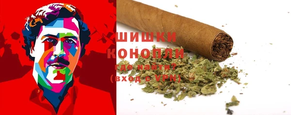 прущие грибы Кодинск