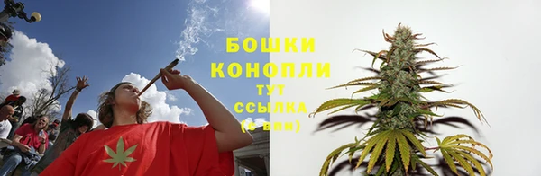 прущие грибы Кодинск