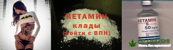 прущие грибы Кодинск