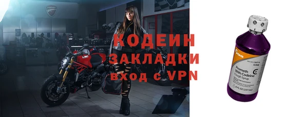прущие грибы Кодинск