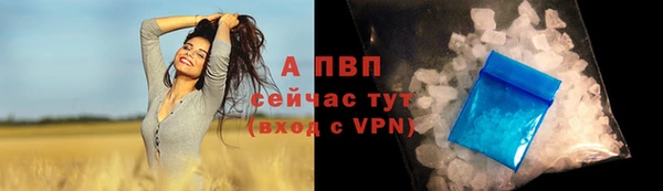 скорость Козловка