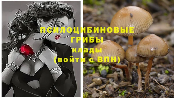 скорость Козловка