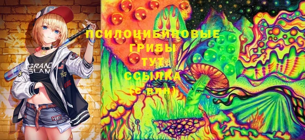 прущие грибы Кодинск