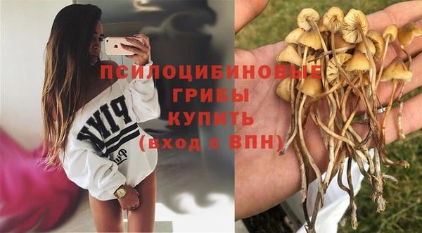 гидропоника Козельск