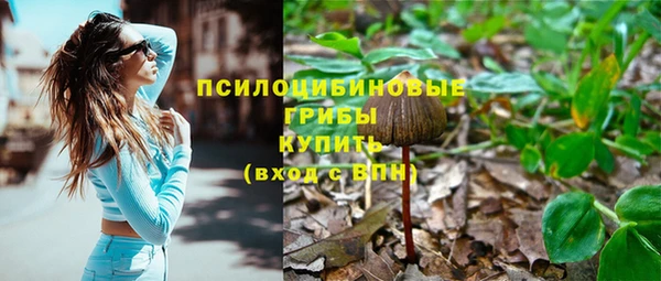 тгк Корсаков