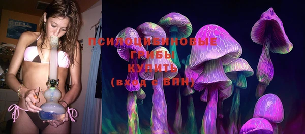 скорость Козловка