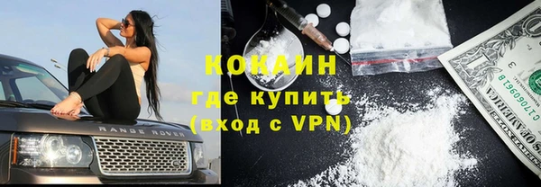 прущие грибы Кодинск