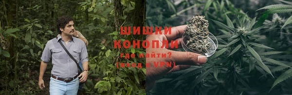 прущие грибы Кодинск